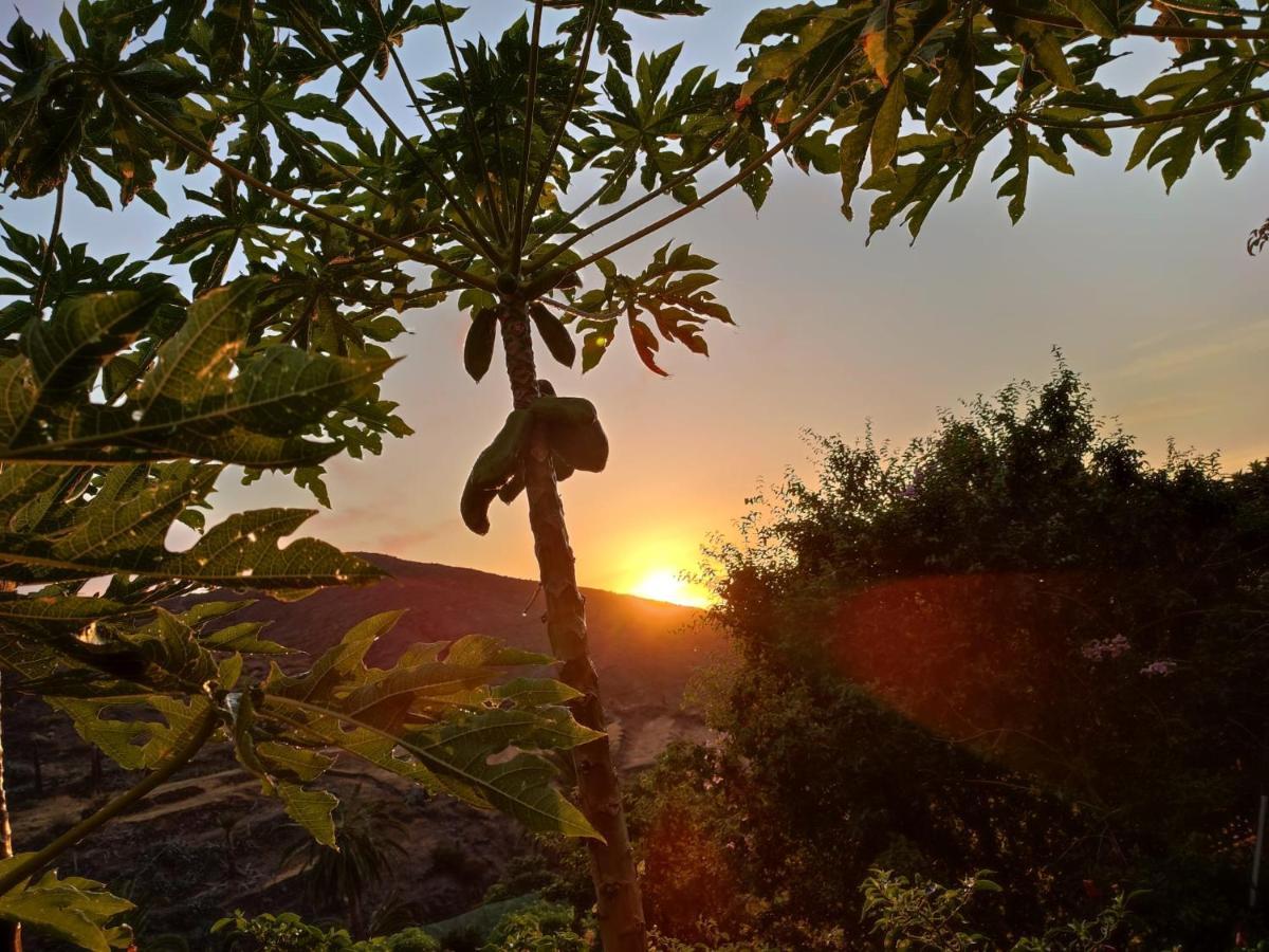 Casa Rural La Vega Alojera المظهر الخارجي الصورة