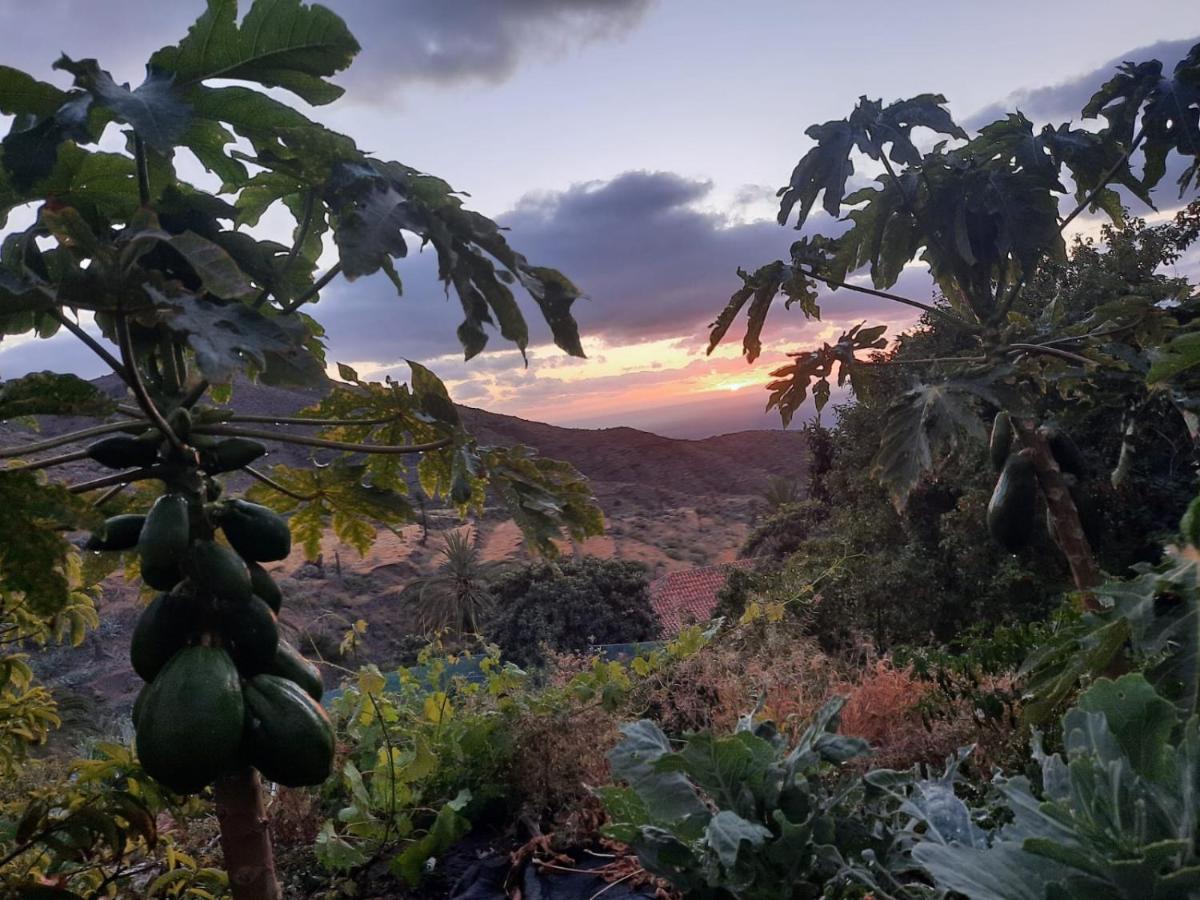 Casa Rural La Vega Alojera المظهر الخارجي الصورة
