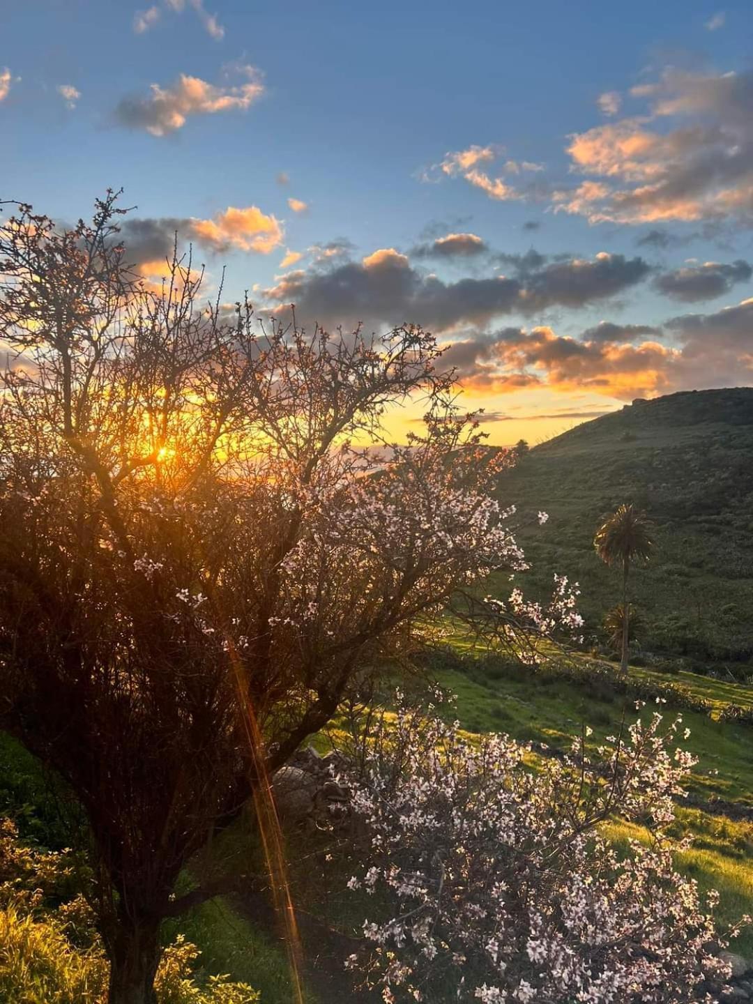Casa Rural La Vega Alojera المظهر الخارجي الصورة